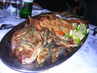 Tenerife 2005 2 67